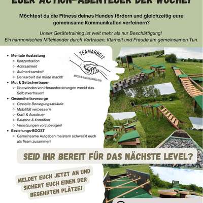 Hundeschulen-Hundeschule DOG'S-Bild