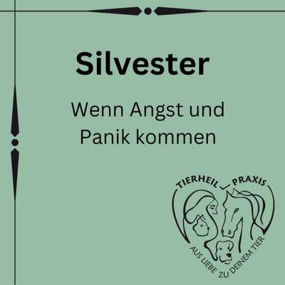 %{de_profession_title}-Silvesterberatung-Bild