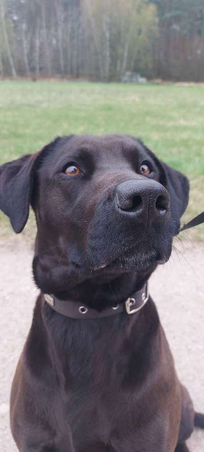 Handy-Foto Challange Nr. 10-Beitrag-Bild