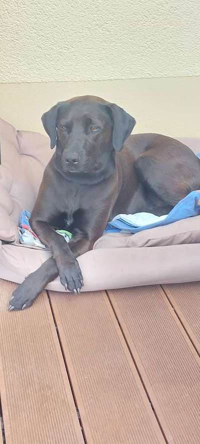 Foto Challange Nr.80-Beitrag-Bild