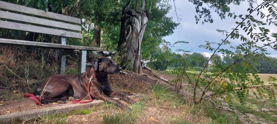 Fotowettbewerb Natur-Beitrag-Bild