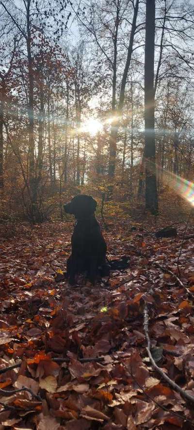 Foto Challenge Nr. 79-Beitrag-Bild