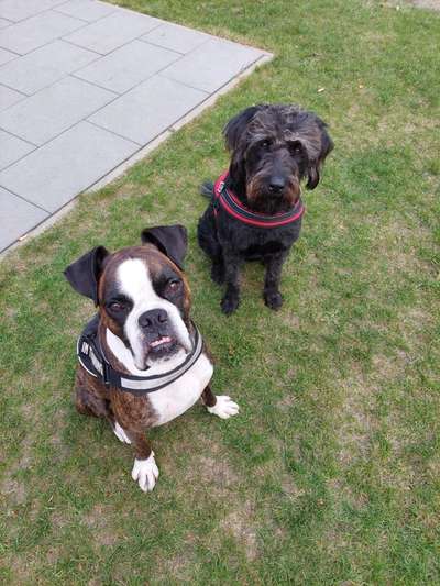 Lieblingsbild-Beitrag-Bild