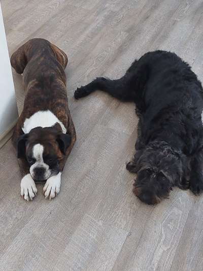 Fotowettbewerbe-Beitrag-Bild