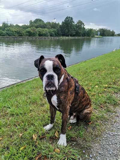 Fotochallenge Nr.100 Urlaubsimpressionen-Beitrag-Bild