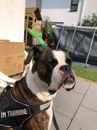 FOTOCHALLENGE 86-Beitrag-Bild