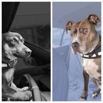 Morgenmuffel-Beitrag-Bild