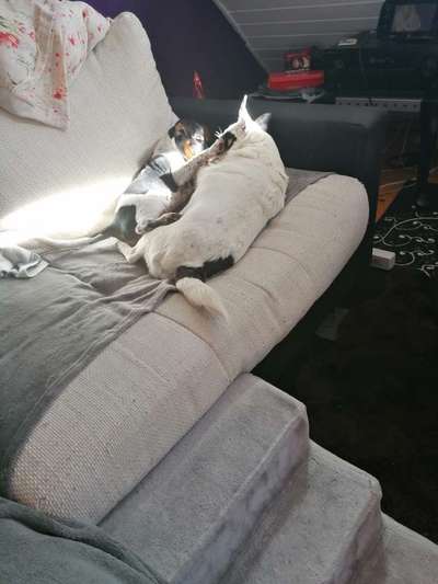 Von Ups-Würfen und der Corona Zeit-Beitrag-Bild