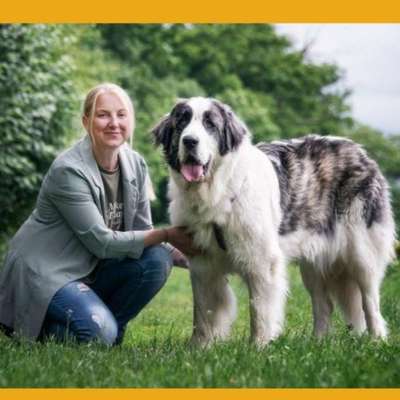 Hundeschulen-Naturpfote-Bild