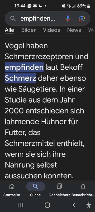 Jagdhundeausbildung an lebenden Enten – notwendig oder unethisch? 🐾-Beitrag-Bild