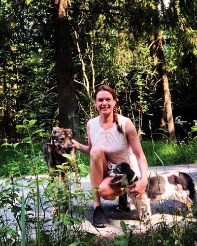 Hundmenschfotos-Beitrag-Bild