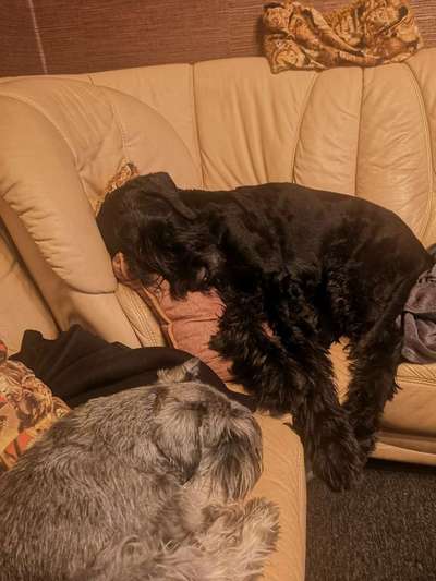 FOTO-Challenge  NR. 91: Die pure Entspannung-Beitrag-Bild