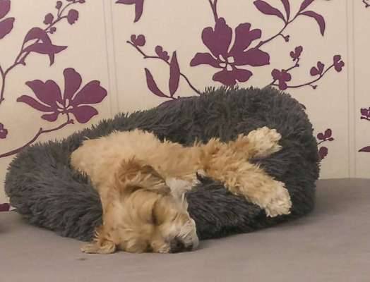 Erfahrung mit Wolkenbett-Beitrag-Bild