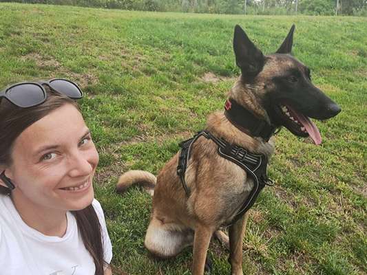 Hundetreffen-Souveräner Gassi Partner Gesucht-Bild