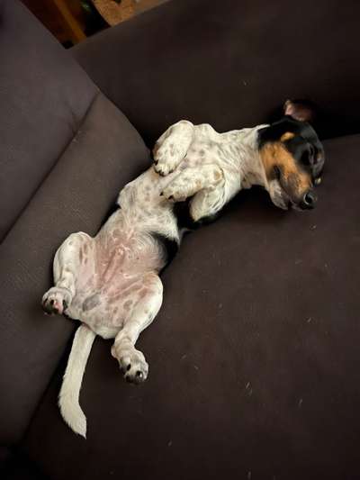 FOTO-Challenge  NR. 91: Die pure Entspannung-Beitrag-Bild