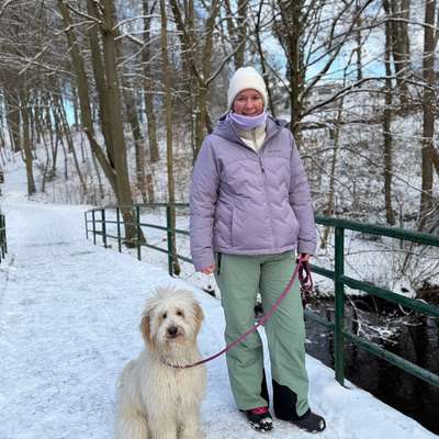 Hundetreffen-Welpenspielrunde Sasel-Bild