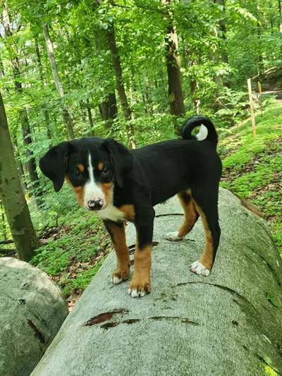 Foto Challenge Nr. 79-Beitrag-Bild