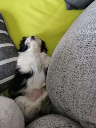 Die unbequemsten und lustigsten Schlafpositionen-Beitrag-Bild