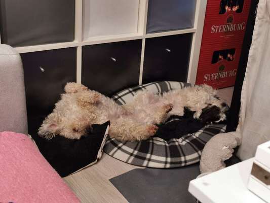 Die unbequemsten und lustigsten Schlafpositionen-Beitrag-Bild