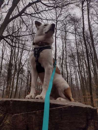 Foto Challenge Nr. 79-Beitrag-Bild