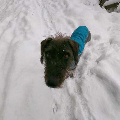 Fotochallenge 61 ~ Schnee-Beitrag-Bild