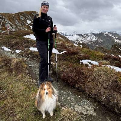 Hundetreffen-Gemeinsame Gassirunden-Bild