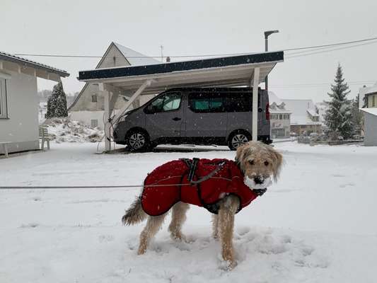Schnee Foto-Beitrag-Bild