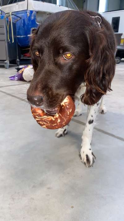 Foto Challenge Nr.: 115-Beitrag-Bild