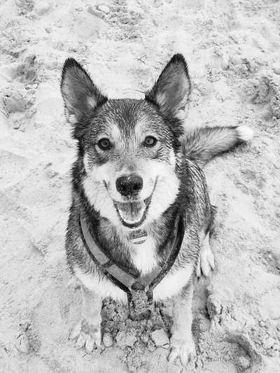 3. Farben/Fotochallenge: Schwarz/Weiß-Beitrag-Bild