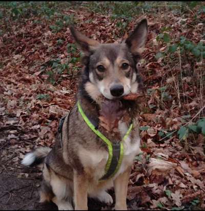 26. Farben Fotochallenge "Herbstfarben"-Beitrag-Bild
