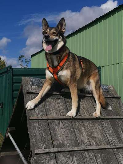 57. Handy Foto Challenge - klettern-Beitrag-Bild