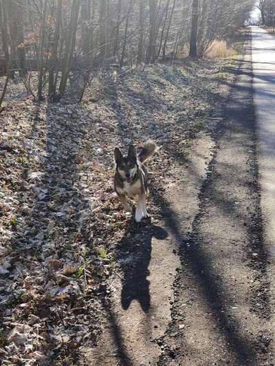 Dogorama Photo Challenge - Spieglein Spieglein . . .-Beitrag-Bild