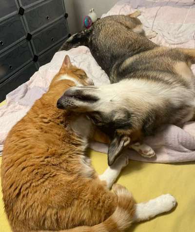 19. Farben  Fottochallenge :
Lieblingsfarbe-Beitrag-Bild