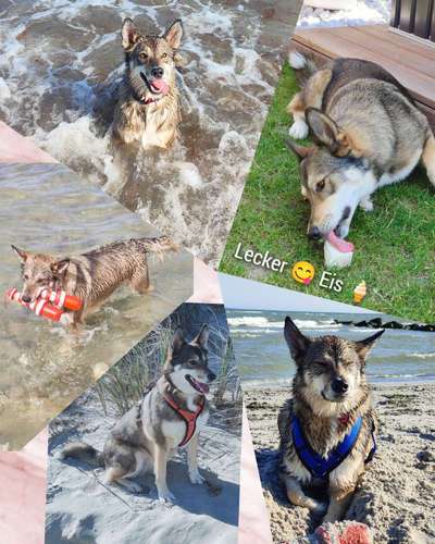 Zeigt eure schönsten Sommerbilder-Beitrag-Bild