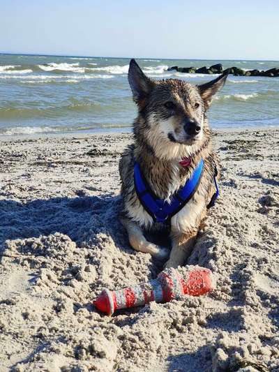 Foto Challenge Nr.133-Beitrag-Bild