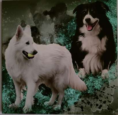 Unsere Fellnasen im Regenbogenland-Beitrag-Bild