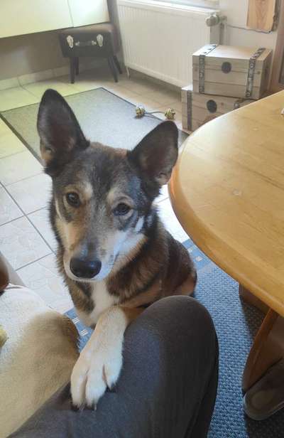 147. Foto Challenge: Bettelblick-Beitrag-Bild