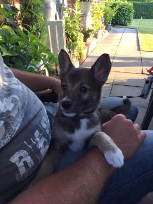 Sie werden so schnell erwachsen ...-Beitrag-Bild