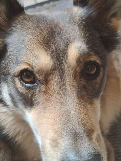 150. Foto Challaenge:  Die Augen, der Spiegel der Seele-Beitrag-Bild