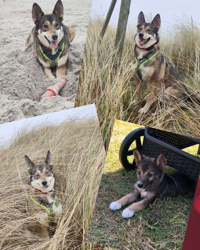 23. Collagen-Challenge: Portraits-Beitrag-Bild