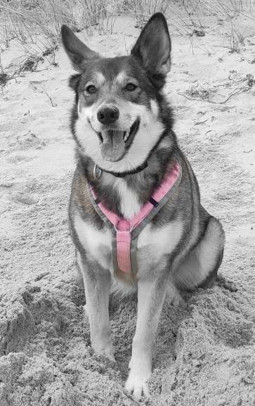 6. Farben Foto Challenge: "ColourKey Effekt"-Beitrag-Bild