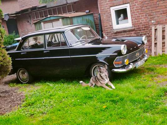 70. Handy-Fotochallenge: Zeitreisen-Beitrag-Bild