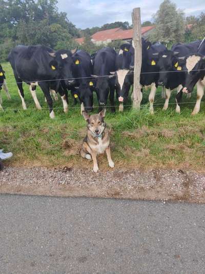 155. FotoChallange * David und Goliath *-Beitrag-Bild