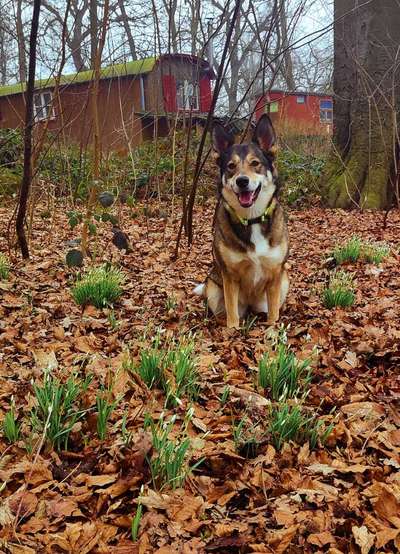 Fotochallenge Nr. 126-Beitrag-Bild