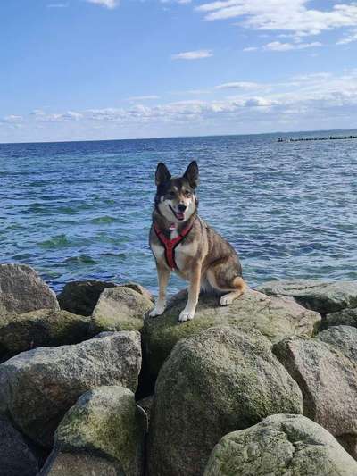 10. Farben Foto-Challenge ---- Blau-Beitrag-Bild