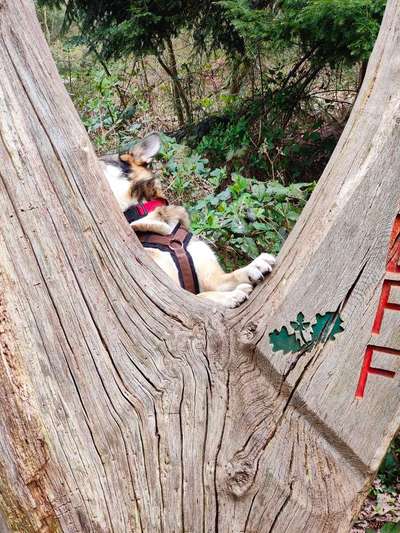 80. Foto  Challenge - Versteckt/ in einer Höhle-Beitrag-Bild