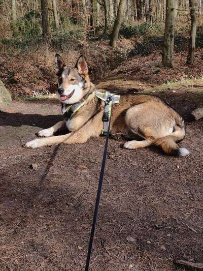 Lieblings Fotos-Beitrag-Bild