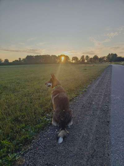 18. Farben Fotochallenge: Sonnenuntergang-Beitrag-Bild