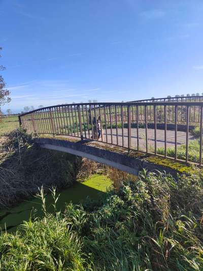 Foto Challenge Thema "Brücke"-Beitrag-Bild