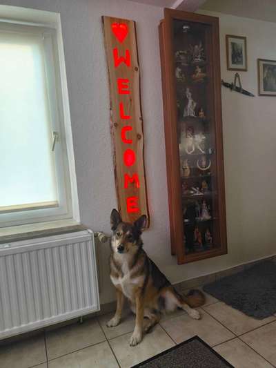 11. Farben Foto Challenge Rot-Beitrag-Bild